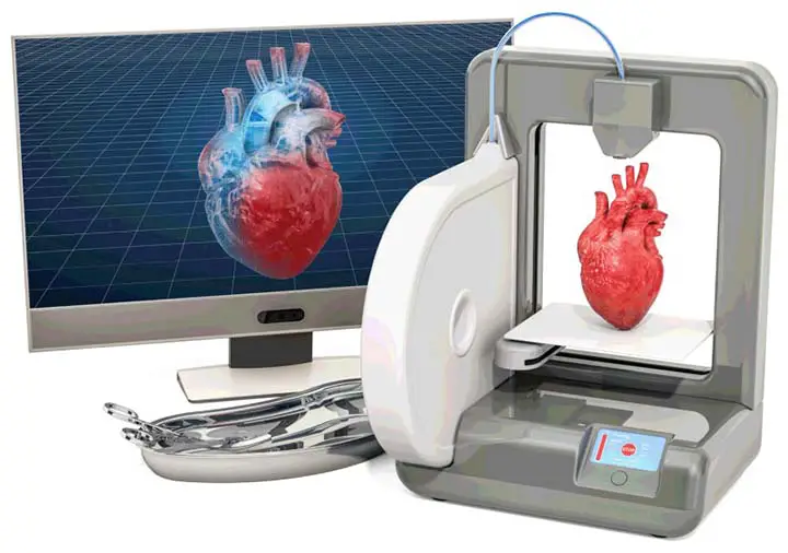 New tech fastens the age of organ manufacturing