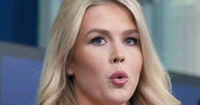 Karoline Leavitt Caught in Her Web of Lies While Defending Trump – Then Snaps at Reporters